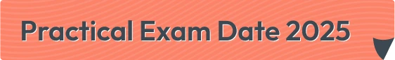 Kerala Plus Two Exam Time Table 2024, Kerala Plus Two Exam Time Table 2024 PDF, Kerala Plus Two Time Table 2024, Kerala Plus Two Exam Time Table 2024 Arts, Plus Two Practical Exam Date 2024 Kerala, Kerala Plus Two Model Exams 2024 Time Table, How to Download the Plus Two Exam Time Table 2024 Kerala PDF