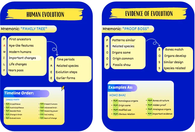 CBSE class 10 flashcards free PDF download