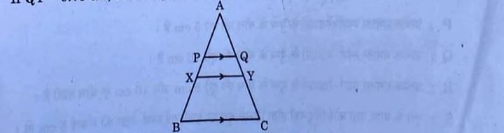 CBSE Class 10 Maths Answer Key 2025 Q.8