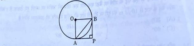 CBSE Class 10 Maths Answer Key 2025 Q.11