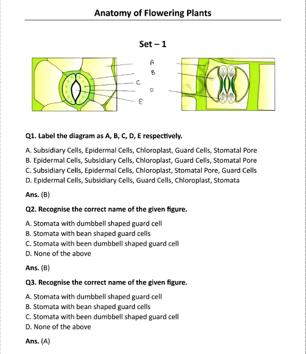NEET diagram based questions