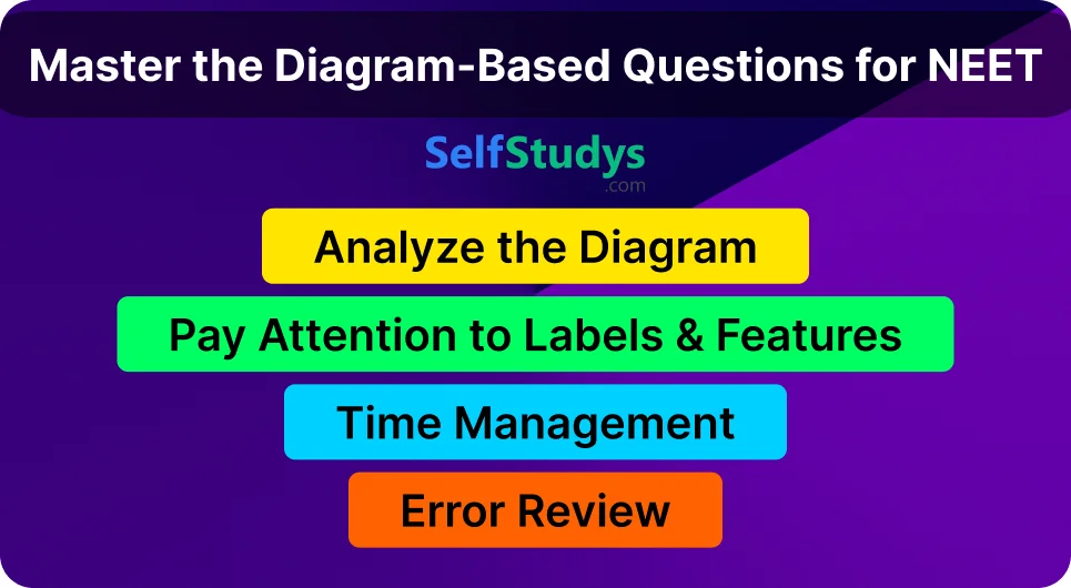 Cell Cycle and Cell Division NEET diagram based questions PDF