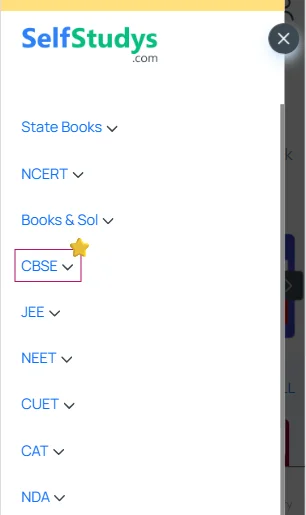 CBSE Class 12 MCQs for Chapter 8 Chemistry
