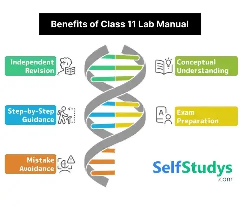 How Class 11 Lab Manual book Improves your learning at home