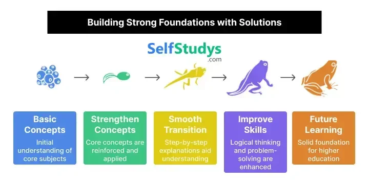 How to Use NCERT Solutions Class 3 Looking Around (EVS) PDF Download for Maximum Benefits