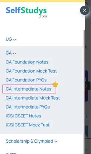 CA Inter notes