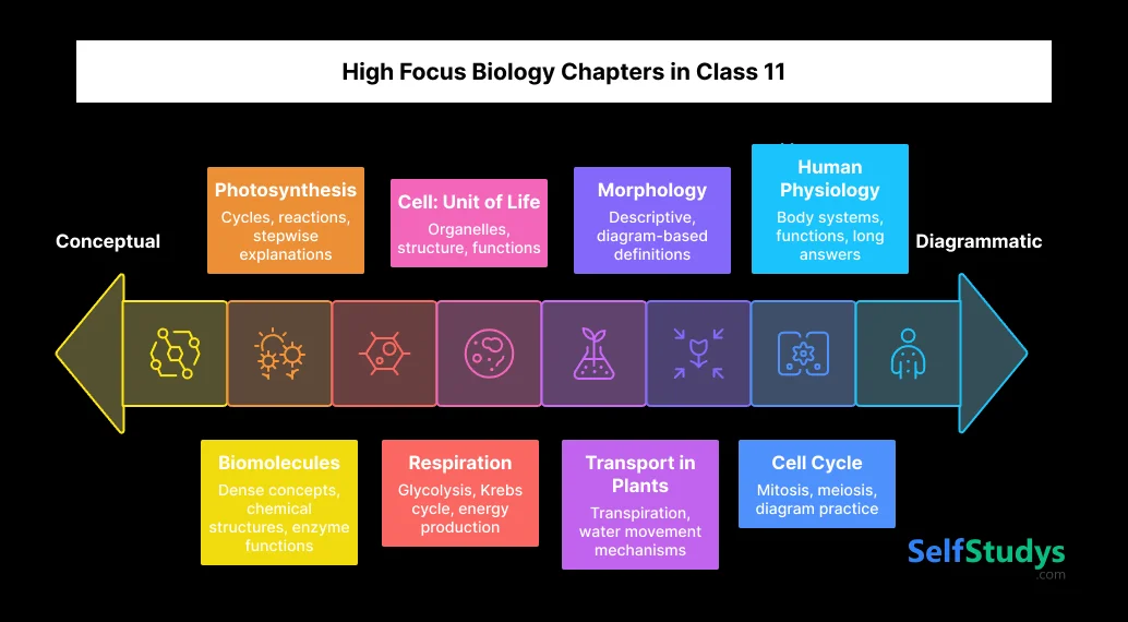 High Focus Biology Chapters in class 11