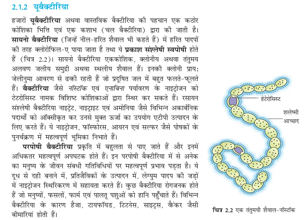 Rajasthan State Board books Class 11