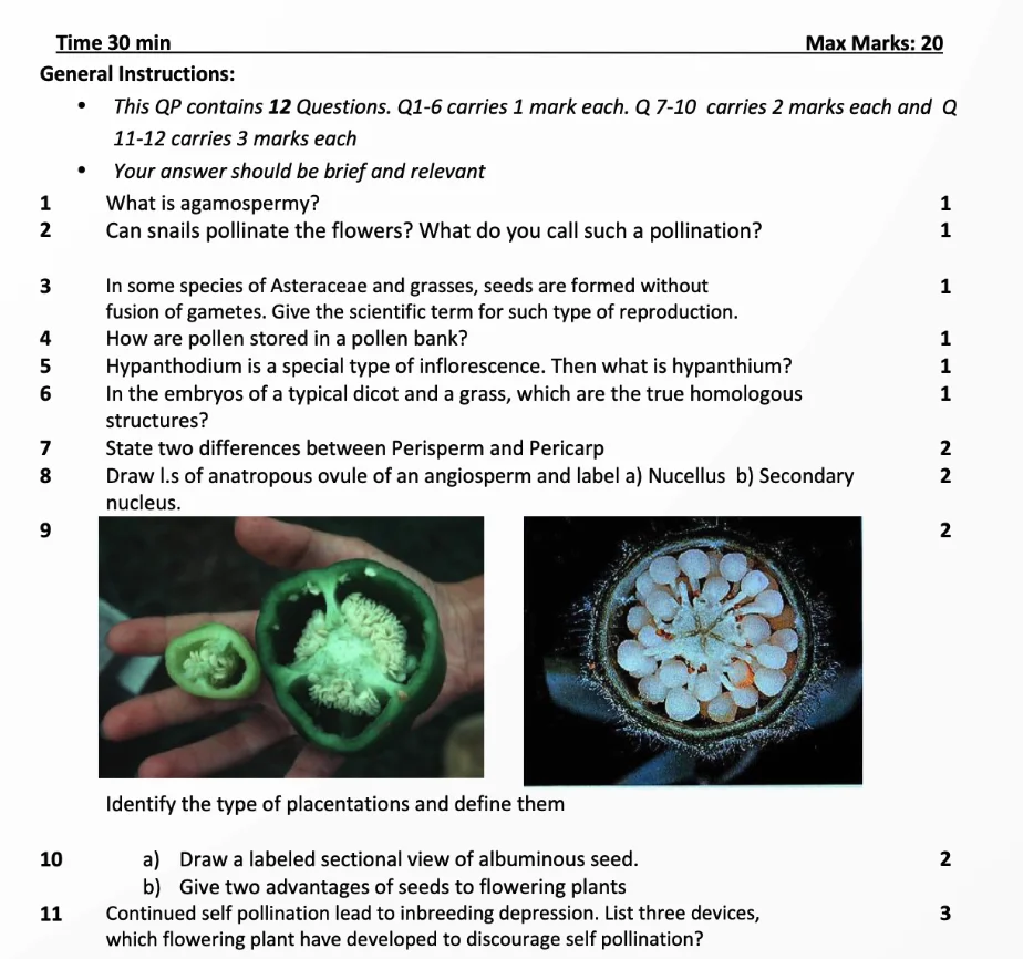 CBSE worksheets for Class 12