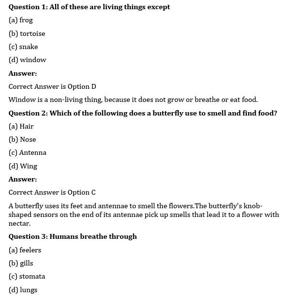 CBSE worksheets for Class 3