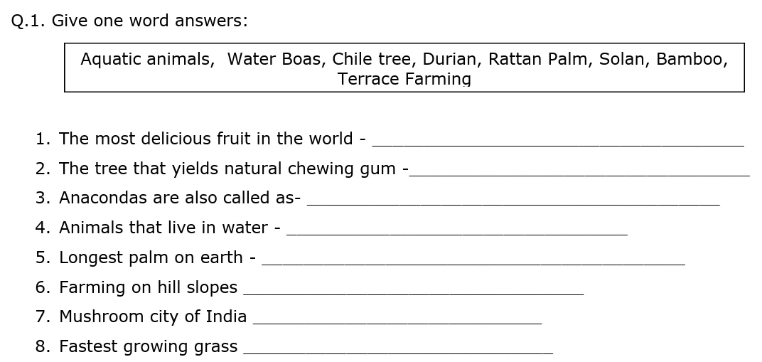 worksheets for Class 3 PDF download free