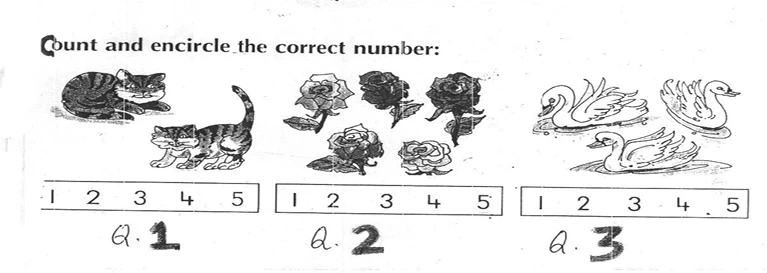 Class 1 worksheets free download