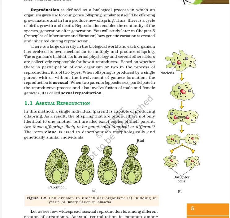 JAC Class 12 Science books