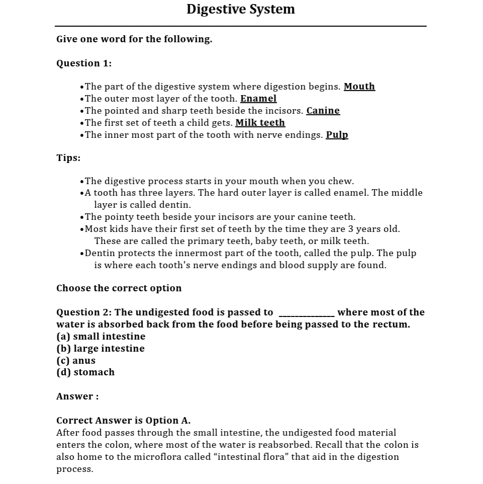 CBSE worksheets for Class 4