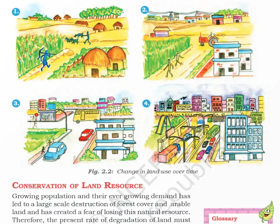 JAC Board Social Science books Class 8