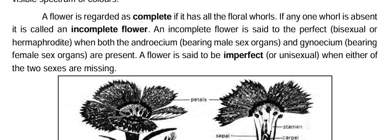 Odisha Class 11 books – Biology textbook diagram showing complete and incomplete flowers with labeled petals, sepals, stamens, and carpel.