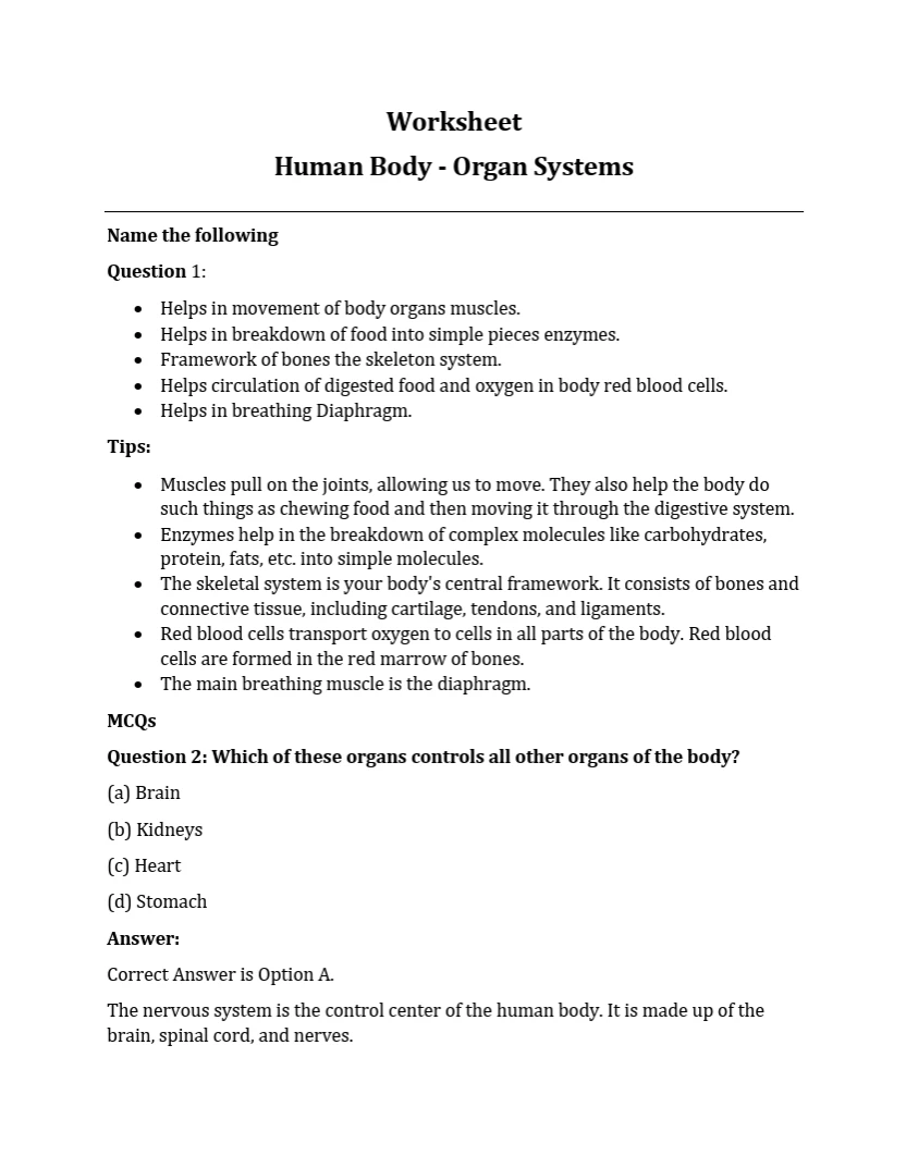 Class 3 Science worksheets PDF free download