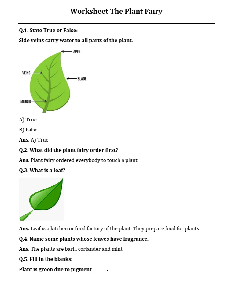 printable Environmental Studies worksheets for Class 3