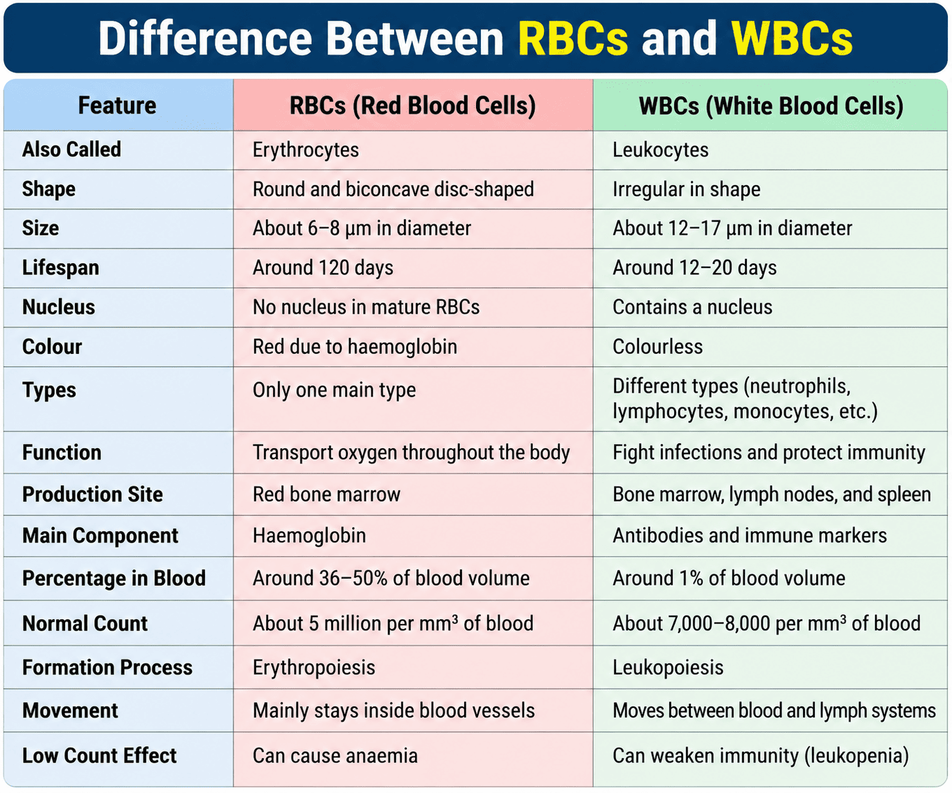 Difference Between RBCs and WBCs