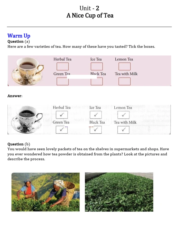 TN Board Class 12 English Unit 2 “A Nice Cup of Tea” worksheet covering tea varieties, tea plantation, tea leaf plucking, and the tea-making process.