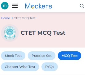 CTET MCQ Test 2025, CTET MCQ Online Test 2025, CTET chapter-wise MCQ, CTET Important Question with Answer, CTET MCQ Online Test, MCQ Online Test CTET