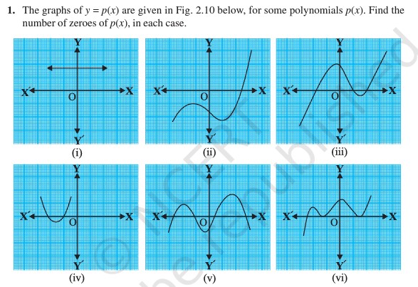 Polynomials Class 10 NCERT Solutions, Polynomials Class 10 NCERT Solutions PDF, NCERT Solutions Polynomials Class 10, Polynomials NCERT Solutions Class 10, NCERT Solutions Class 10 Polynomials PDF, How to Download the NCERT Solutions Class 10 Polynomials
