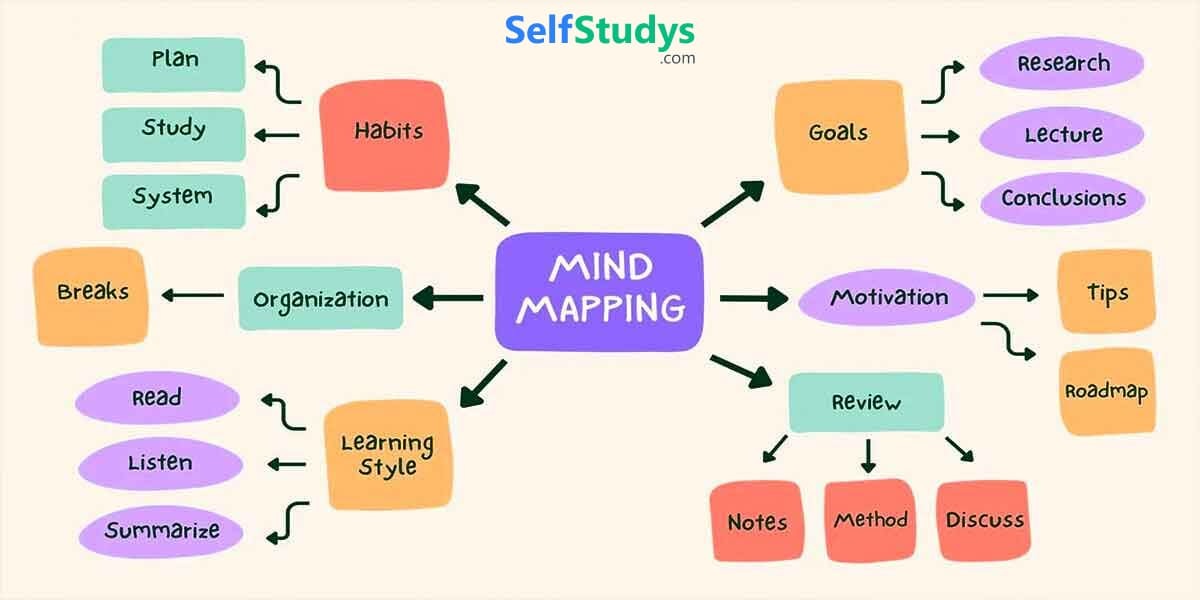 Mind Maps for NEET, NEET Mind Map, Important Mind Maps for NEET, NEET Mind Map For Physics, NEET Chemistry Mind Map, NEET Mind Map For Biology