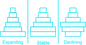 Select the correct option w.r.t. Age pyramids.