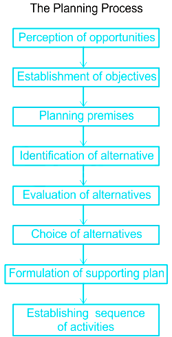 Planning Process in Principles of Management - MBA TUTS