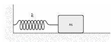 75351_iam14
