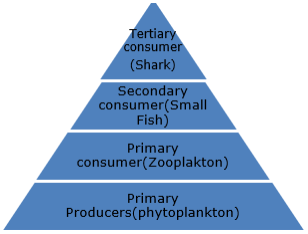 Make an aquatic food chain up to the tertiary consumer level. State the  trophic level at which concentration of pesticide is maximum and why? -  Sarthaks eConnect | Largest Online Education Community