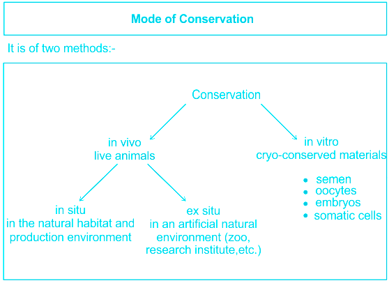 Invitro conservation of germ plasm, In situ and Ex situ germ plasm co…