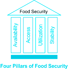 Four Pillars of Food Security · exhibits