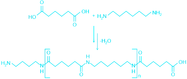 File:CondensationPolymerization Nylon.svg - Wikimedia Commons