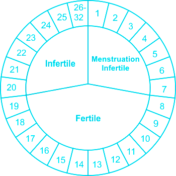 What is the calendar rhythm method ? - HEALTH UPDATES