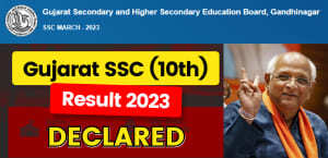 Self Studies