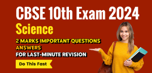 Self Studies