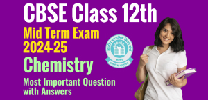 Self Studies