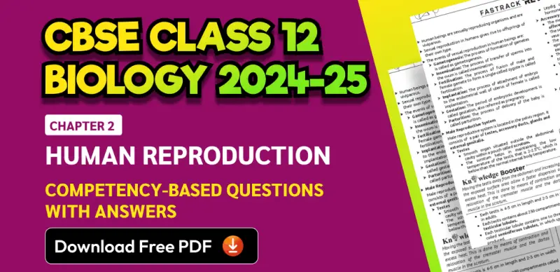 CBSE Class 12 Biology 2024-25: Chapter 2 Human Reproduction Competency-Based Questions with Answers; Download Free PDF