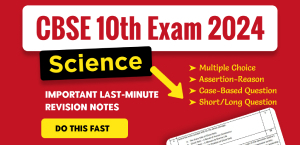 Self Studies