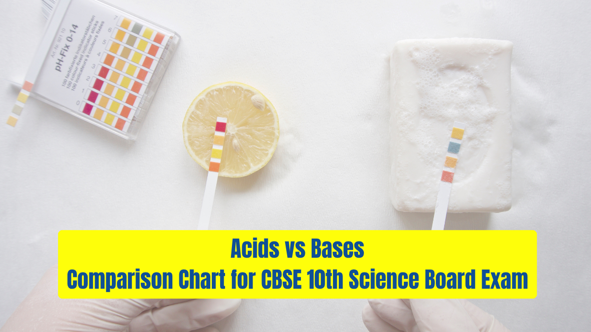 Acids vs Bases: Comparison Chart for CBSE 10th Science Board Exam