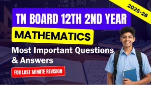TN Board 12th 2nd Year Mathematics 2025-26: Most Important Questions & Answers for Last Minute Revision