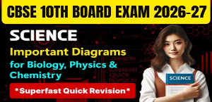 Self Studies