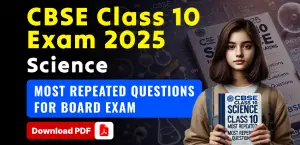 Self Studies