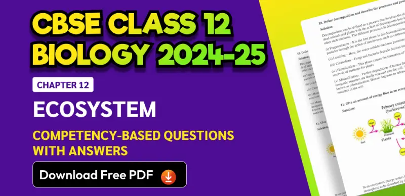 CBSE Class 12 Biology 2024-25: Chapter 12 Ecosystem Competency-Based Questions with Answers; Download Free PDF