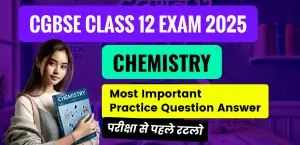 Self Studies