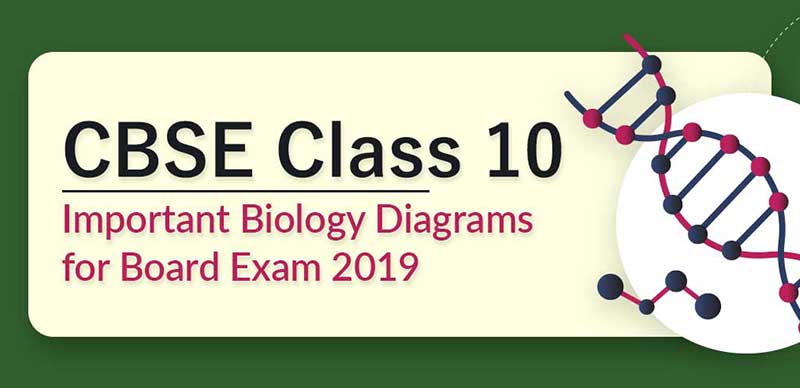 Self Studies