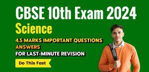 Self Studies
