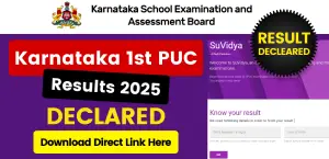 Karnataka 1st PUC Results 2025 Out; Download Direct Link Here