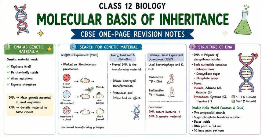 CBSE Class 12 Biology one-page revision notes on Molecular Basis of Inheritance, covering DNA as genetic material, Griffith’s experiment